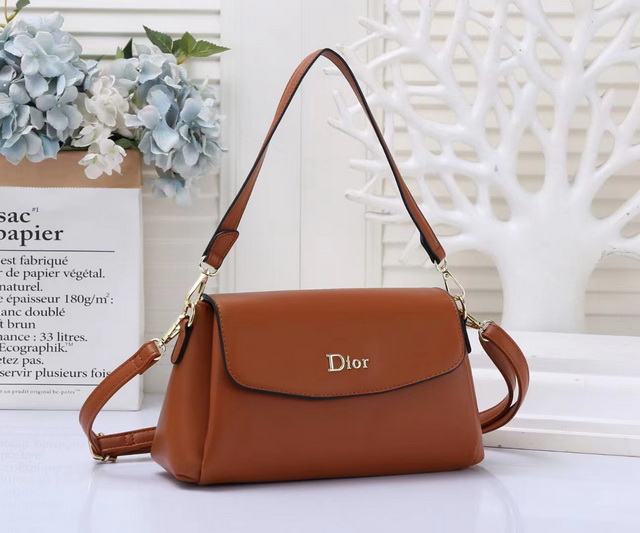 DlOR Handbags 054